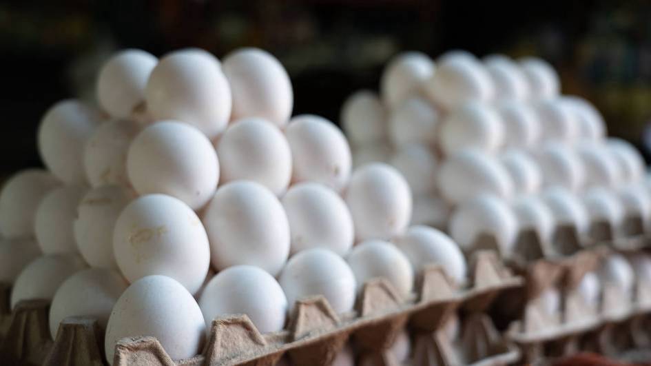Kazakhstan introduces temporary one-month ban on chicken egg imports